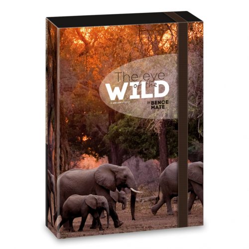 Ars Una Máté Bence The Eyes of the Wild A/5 füzetbox