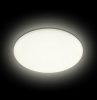 Asalite LED Mennyezeti Lámpa IP54 36W 3000K/4000K/6500K (3600 lumen) Kerek CCT